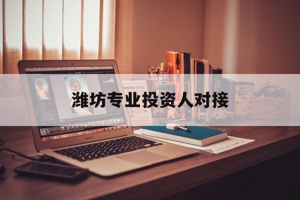 保山市潍坊专业投资人对接(潍坊专业投资人对接中心)
