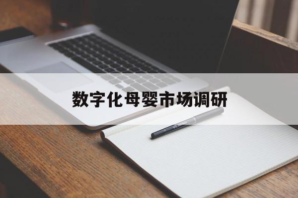 保山市数字化母婴市场调研(数字化母婴市场调研报告)